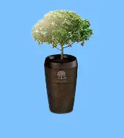 Evertree-Urne für Ihre Haustier